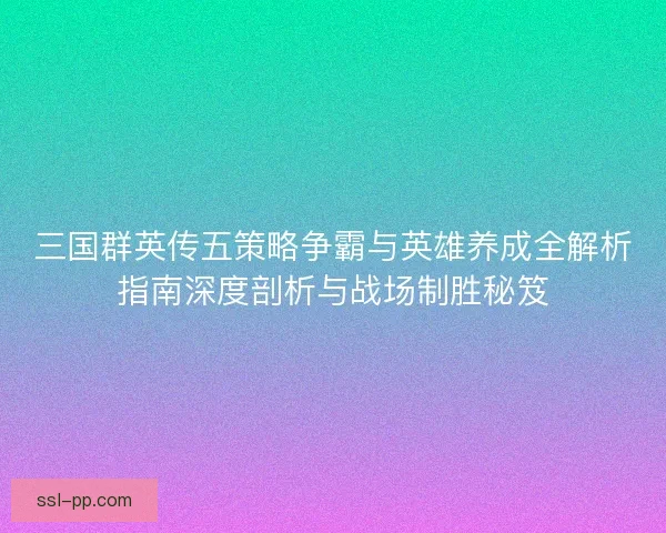 三国群英传五策略争霸与英雄养成全解析指南深度剖析与战场制胜秘笈 三国群英传五策略争霸与英雄养成全解析指南深度剖析与战场制胜秘笈